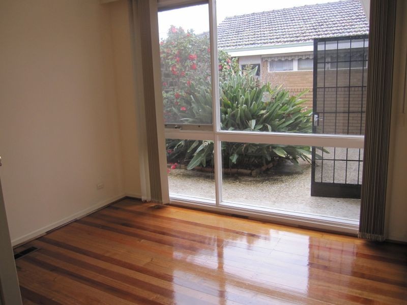 19 Bealiba Road, Caulfield South VIC 3162