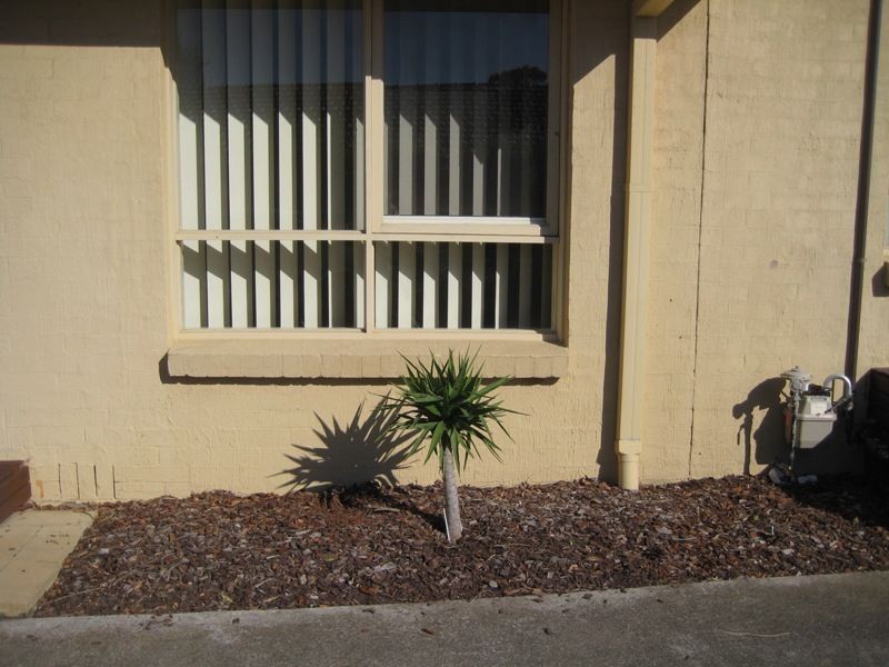 4/26 Glenola Street, Chelsea VIC 3196