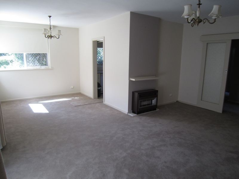 1/2 Victoria Street, Elsternwick VIC 3185