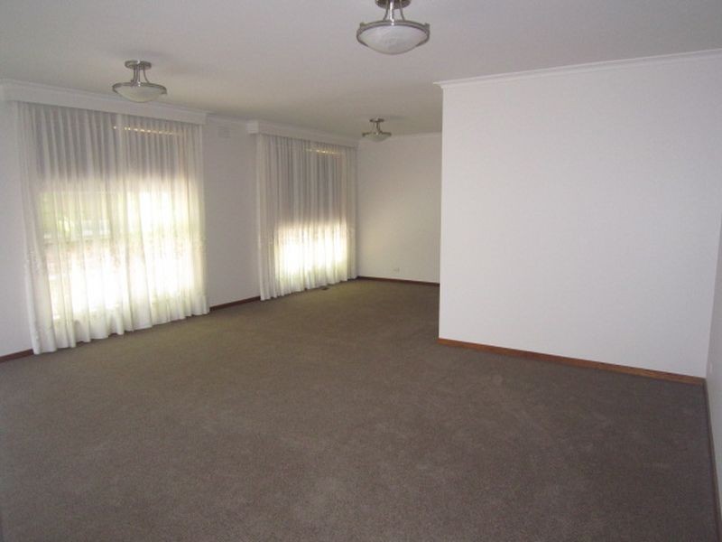 1/41 College Street, Elsternwick VIC 3185