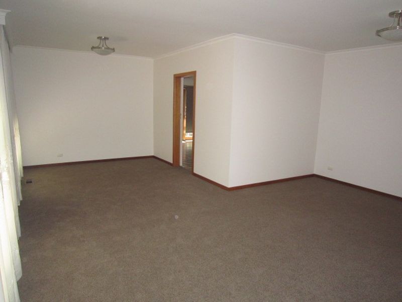 1/41 College Street, Elsternwick VIC 3185