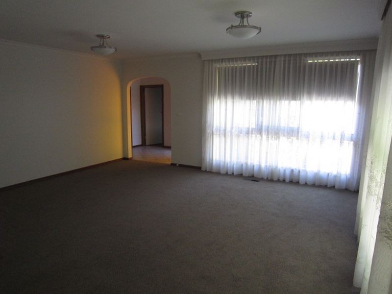 1/41 College Street, Elsternwick VIC 3185