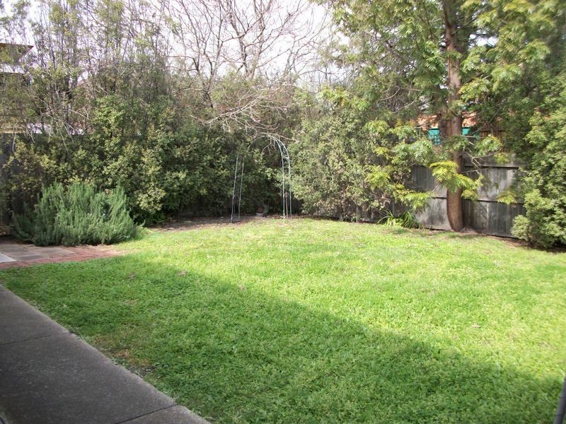 51 Edward Street, Elsternwick VIC 3185