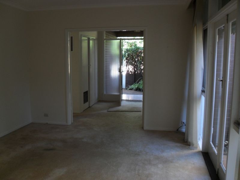 5/41 Kooyong Road, Caulfield North VIC 3161