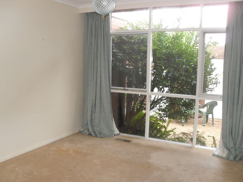 5/41 Kooyong Road, Caulfield North VIC 3161