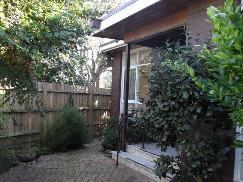 5/41 Kooyong Road, Caulfield North VIC 3161