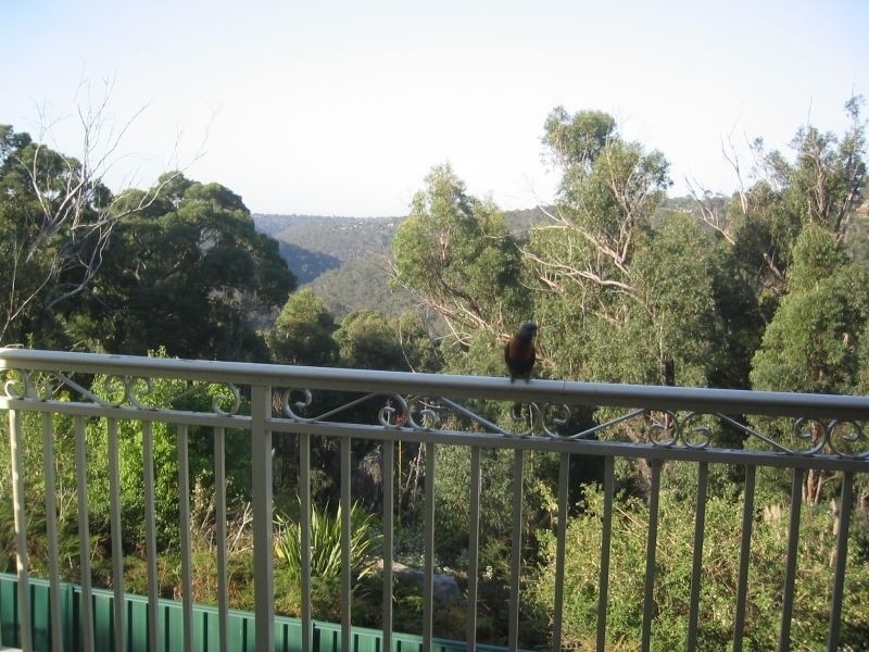 13 Marooba Place, Engadine NSW 2233