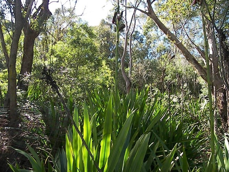 Lot 102 Peppermint Grove, Engadine NSW 2233