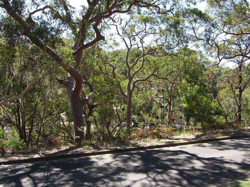 11 Whimbrel Place, Woronora Heights NSW 2233