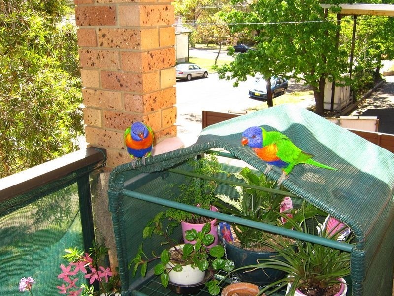 14/60-66 Auburn Street N, Sutherland NSW 2232