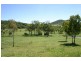Tanby QLD 4703