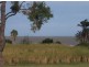 Zilzie QLD 4710