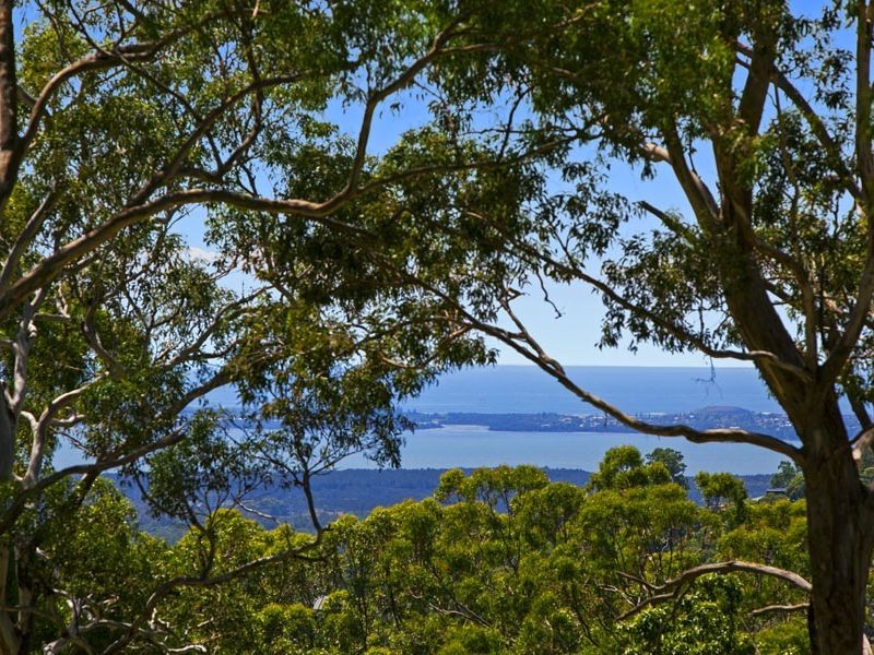 163 Avondale Colliery Road, Avondale NSW 2530