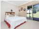 163 Avondale Colliery Road, Avondale NSW 2530