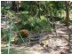 124 The Crescent, Helensburgh NSW 2508