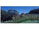 100 Lawrence Hargrave Drive, Stanwell Park NSW 2508