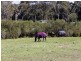 Helensburgh NSW 2508
