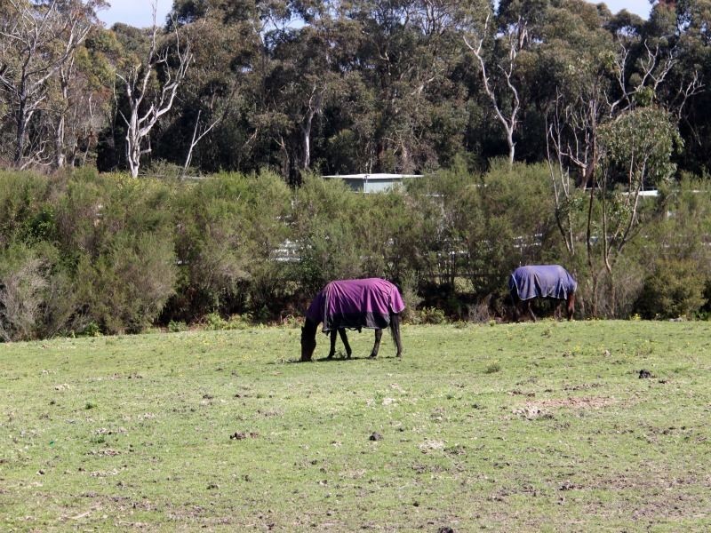 Helensburgh NSW 2508