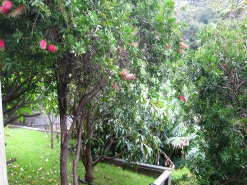 38 Paterson Road, Coalcliff NSW 2508