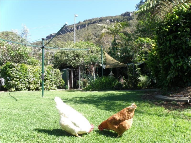 236 Lawrence Hargrave Drive, Coalcliff NSW 2508