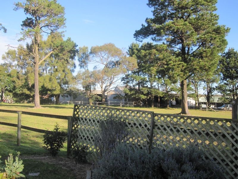 Darkes Forest Road, Darkes Forest NSW 2508