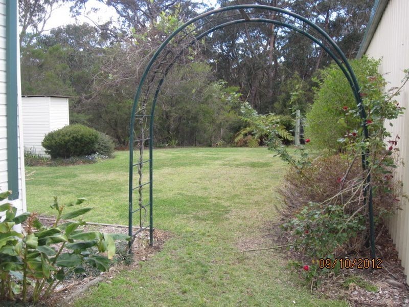 Darkes Forest Road, Darkes Forest NSW 2508