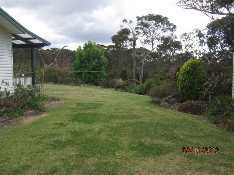 Darkes Forest Road, Darkes Forest NSW 2508