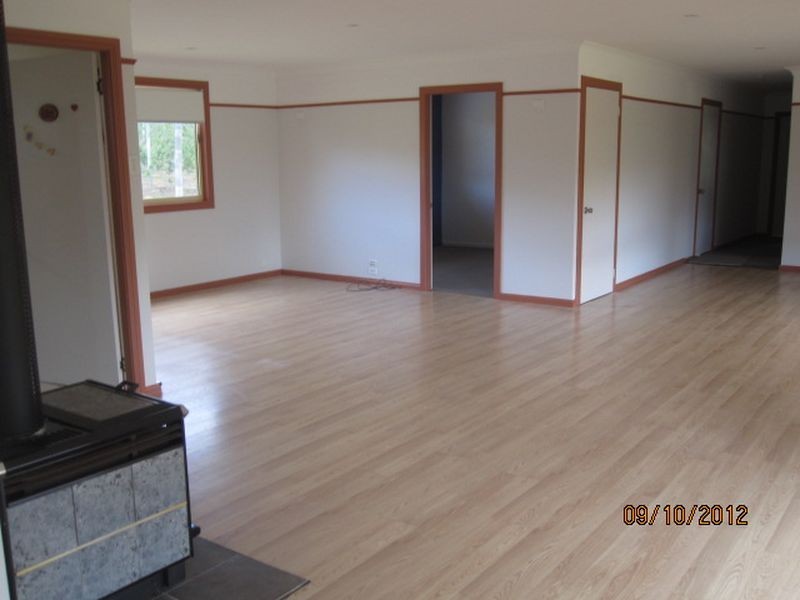 Darkes Forest Road, Darkes Forest NSW 2508