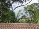 34 Railway Cr, Stanwell Park NSW 2508
