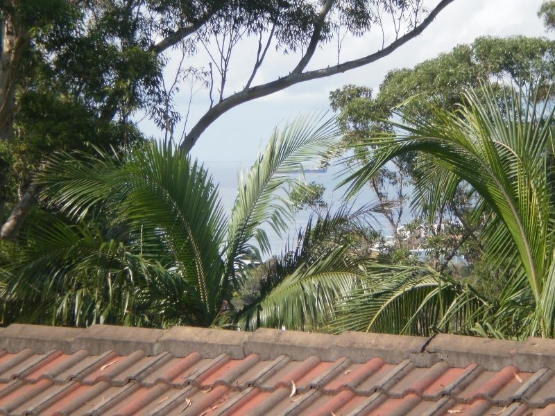 34 Railway Cr, Stanwell Park NSW 2508