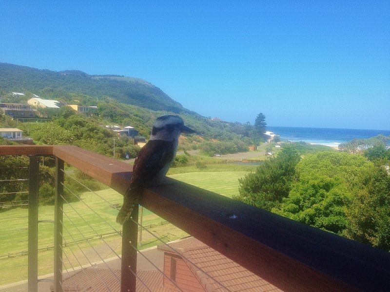 36 Lower Coast Road, Stanwell Park NSW 2508