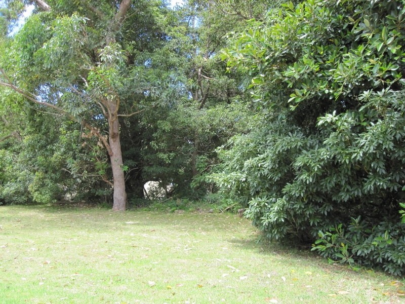 125 Lawrence Hargrave Drive, Stanwell Park NSW 2508