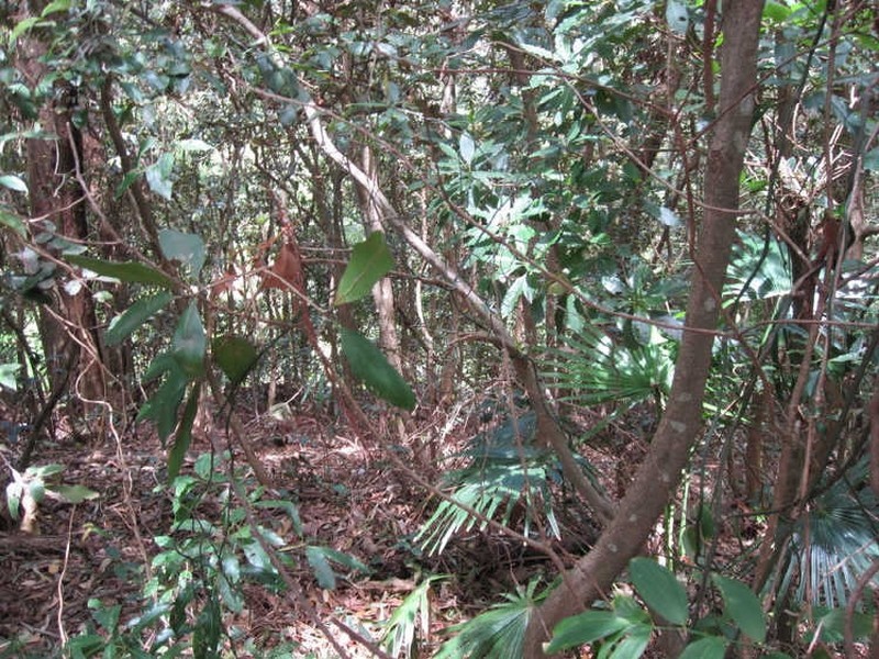 125 Lawrence Hargrave Drive, Stanwell Park NSW 2508