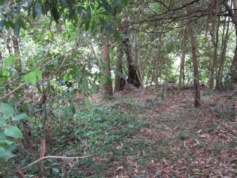 125 Lawrence Hargrave Drive, Stanwell Park NSW 2508