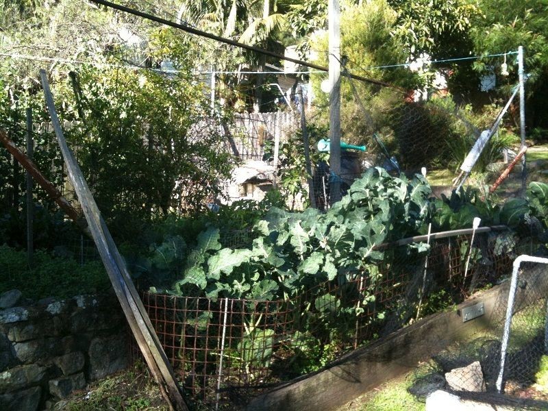 101 The Crescent, Helensburgh NSW 2508