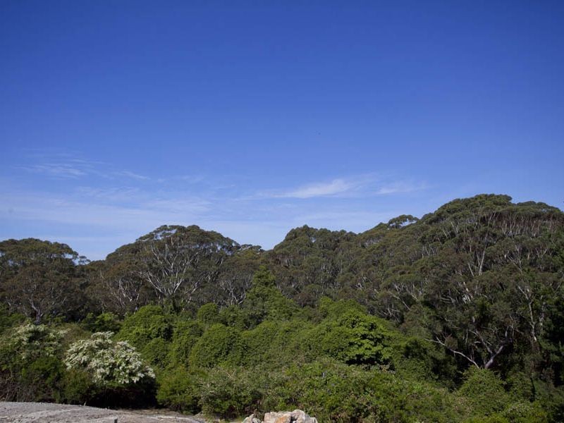 65 Walker Street, Helensburgh NSW 2508