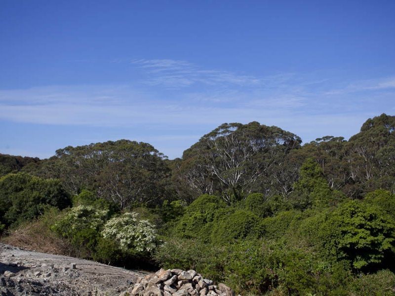 65 Walker Street, Helensburgh NSW 2508