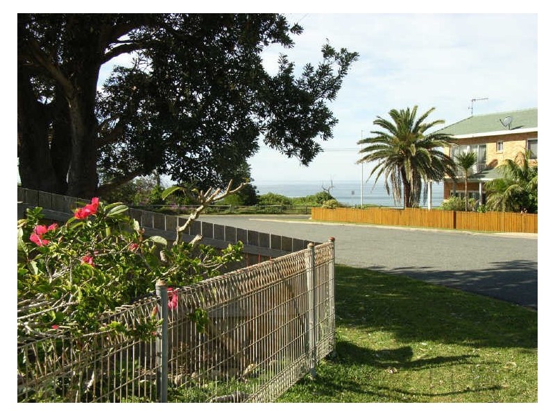 3 Kalang Street, Lake Cathie NSW 2445