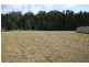 82 Abel Tasman Drive, Lake Cathie NSW 2445