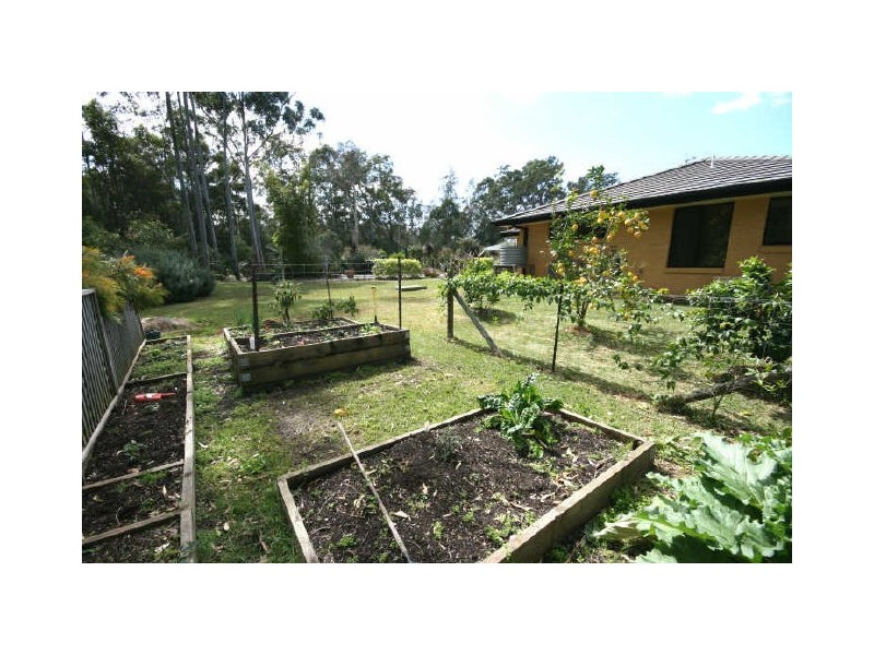 10 Edgewater Close, Lake Cathie NSW 2445