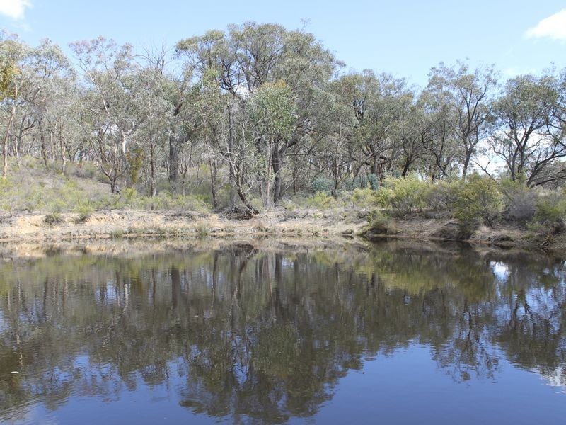 Napoleon Reef NSW 2795