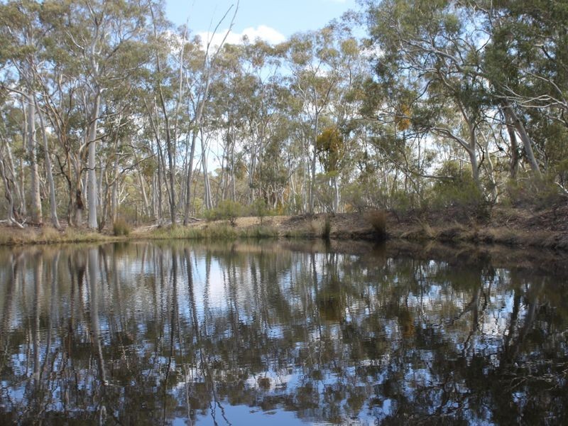 Napoleon Reef NSW 2795