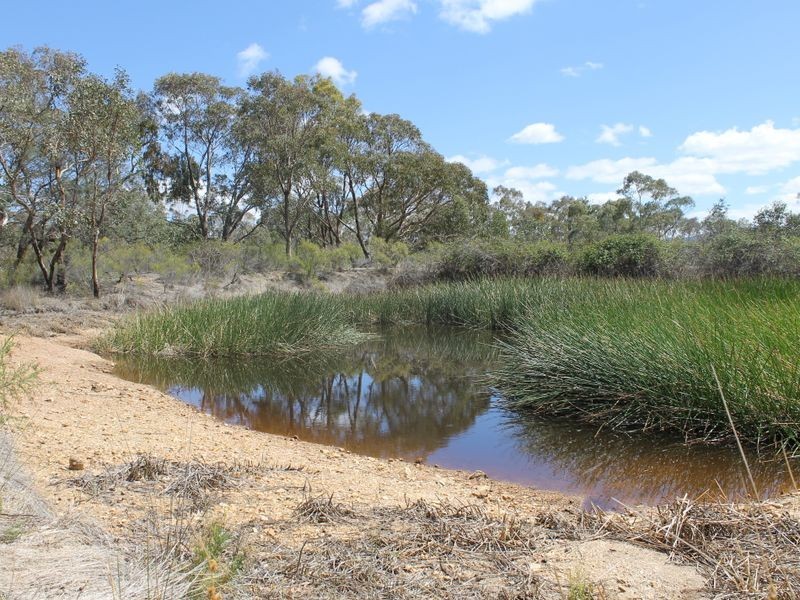 Napoleon Reef NSW 2795