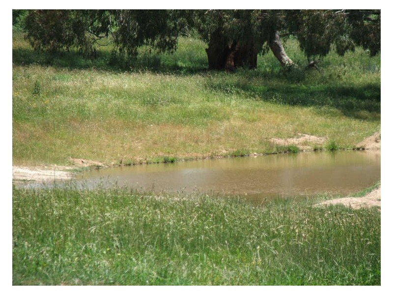 “Willow Glen”/87 Jones Lane, Newbridge NSW 2795