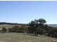 Limekilns NSW 2795