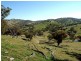Bathurst NSW 2795