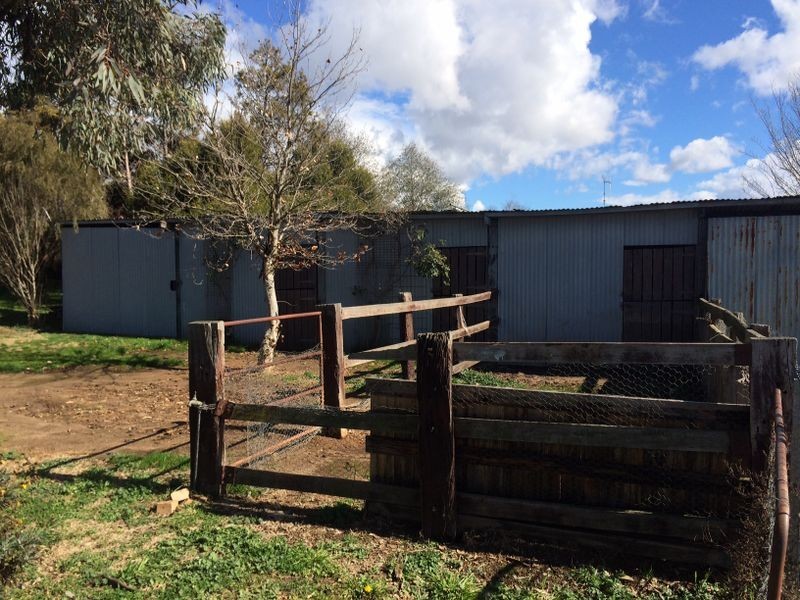 Lot 24 238 Eglinton Road, Bathurst NSW 2795