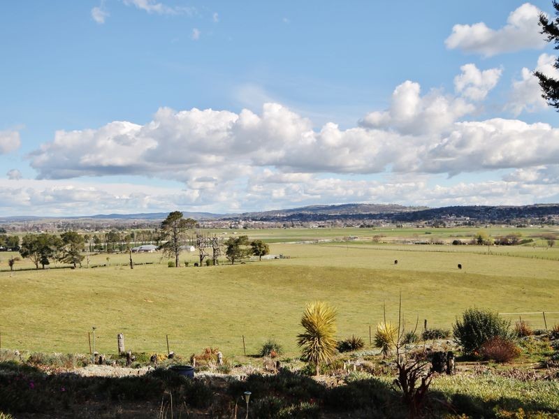 561 Sofala Road, The Rocks NSW 2795