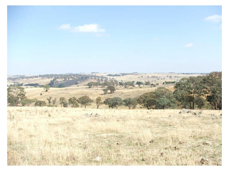Lot 2/577 Browns Creek Road, Blayney NSW 2799