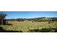 Bathurst NSW 2795